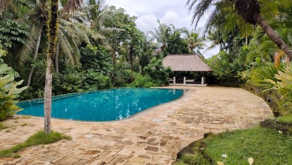 Bali women's retreat pool