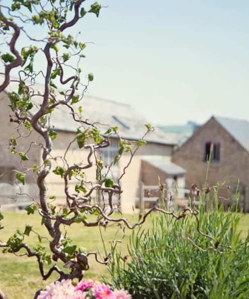 hills-farm-wellness-retreats-accomodation
