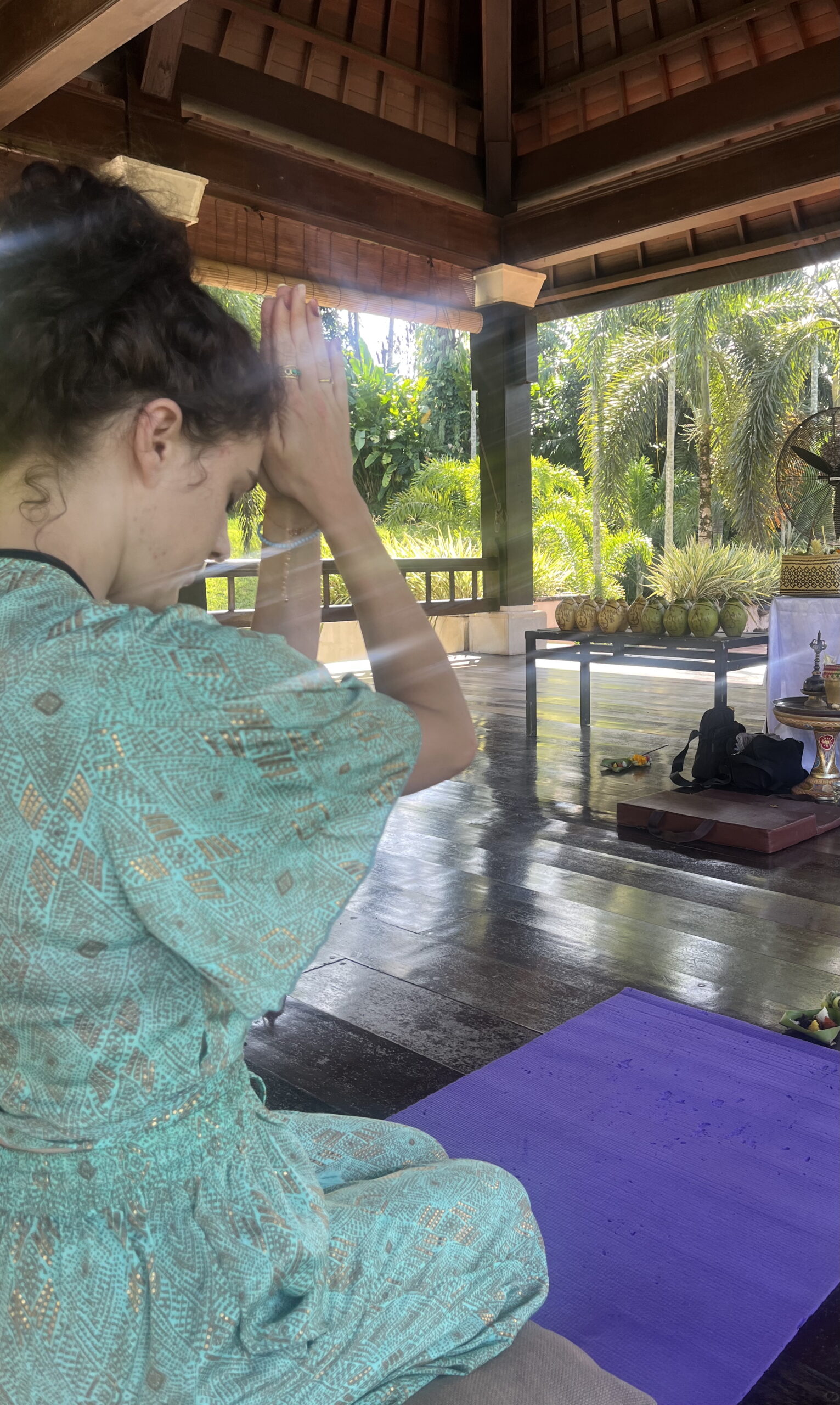 somatics retreat